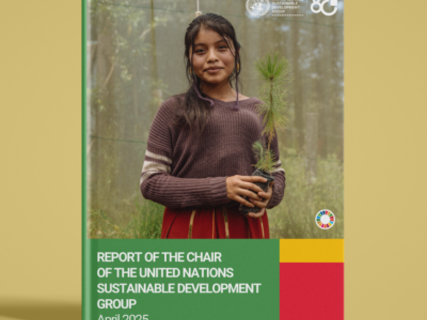Relatório Anual do Grupo de Desenvolvimento Sustentável das Nações Unidas (UNSDG) 